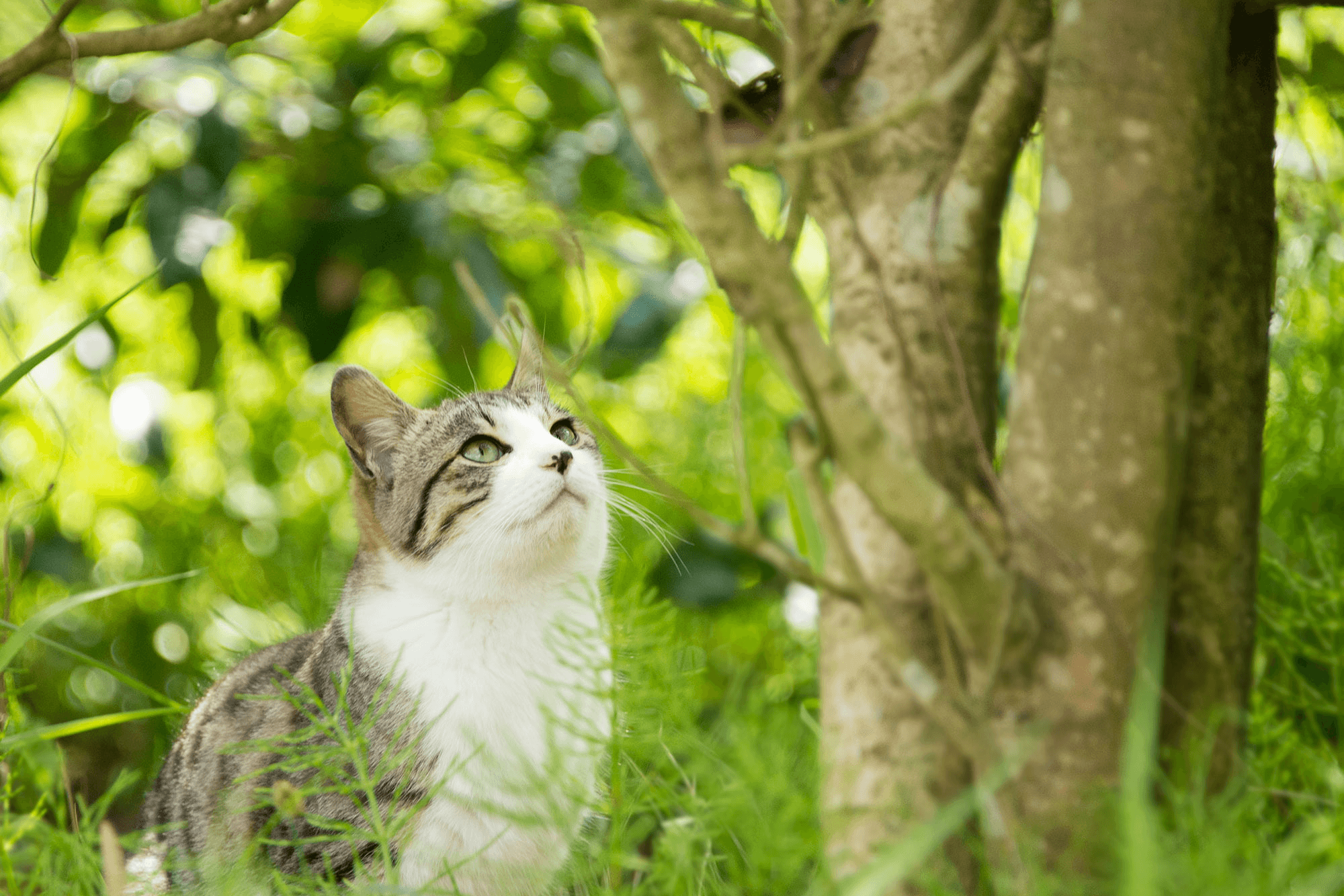感情に名前は付けないまま