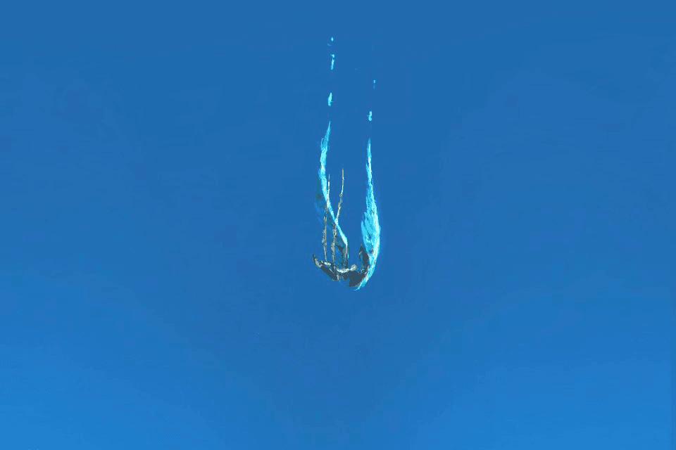 不死鳥に憧れて