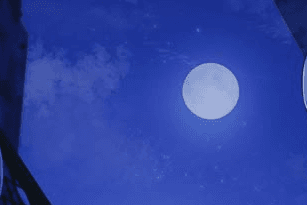 Night Vision(ナイトビジョン)