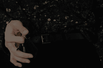 吸血鬼の夜のご飯