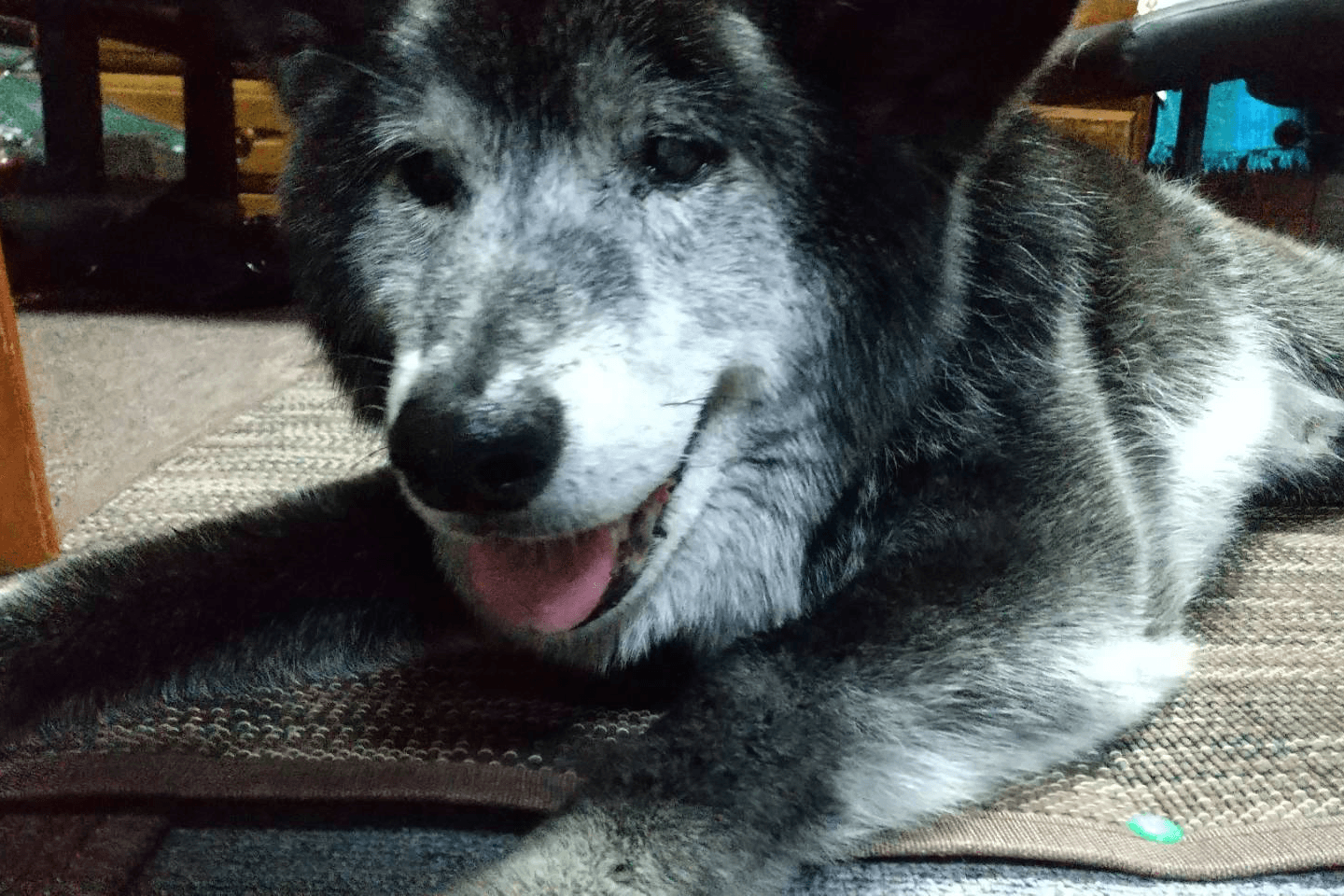 トークンお願いします！