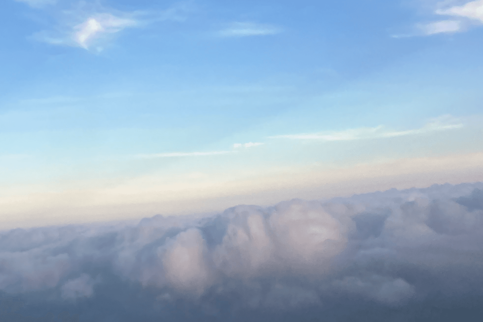 マカロニ兄弟と共にゆこう