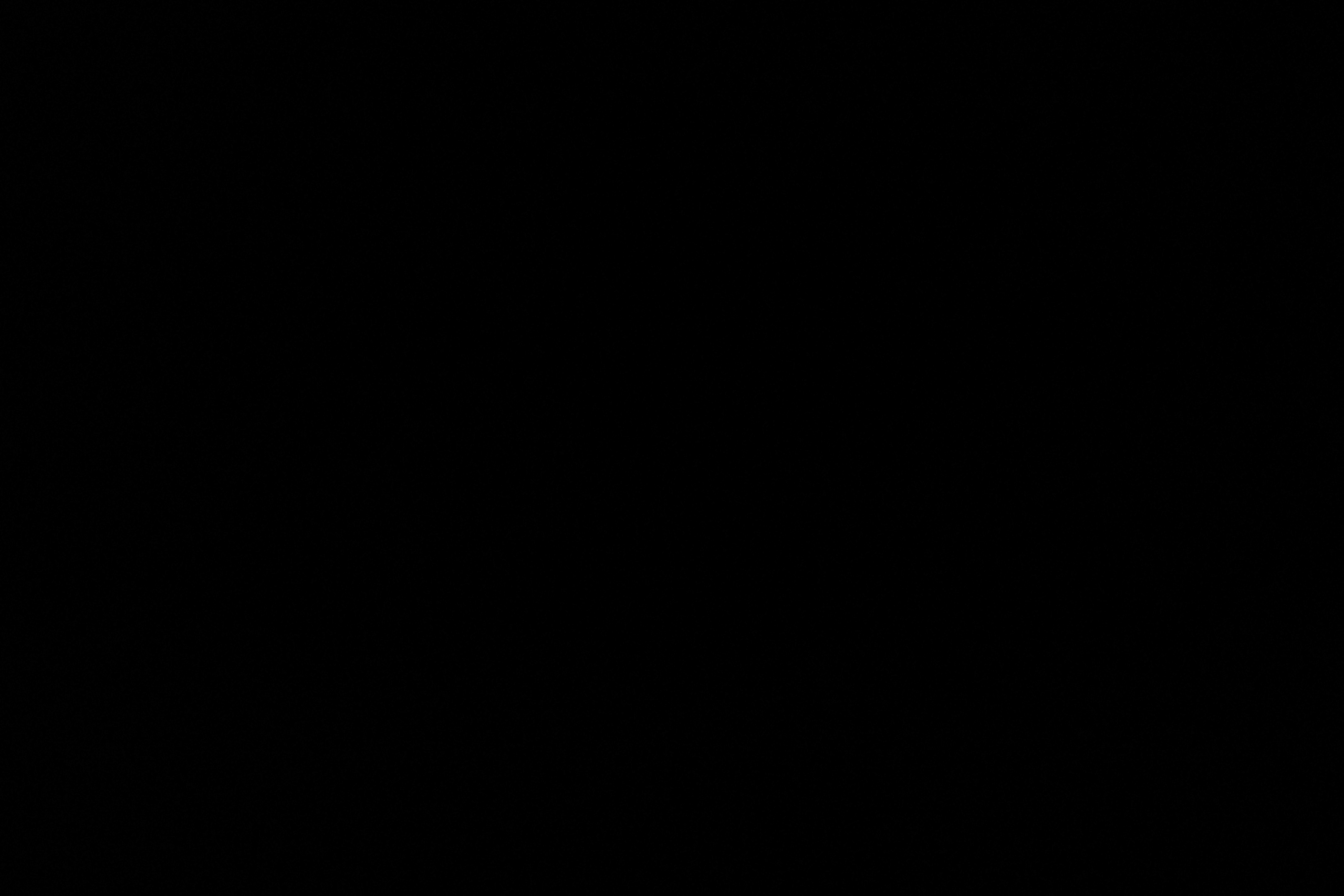 いや、あんたは弟枠だってば！