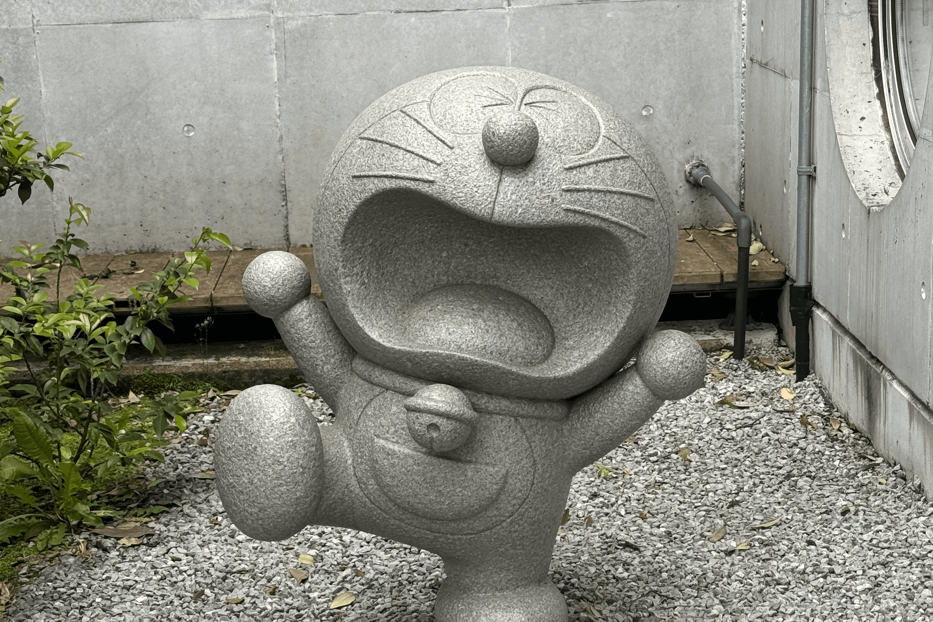 トークン用
