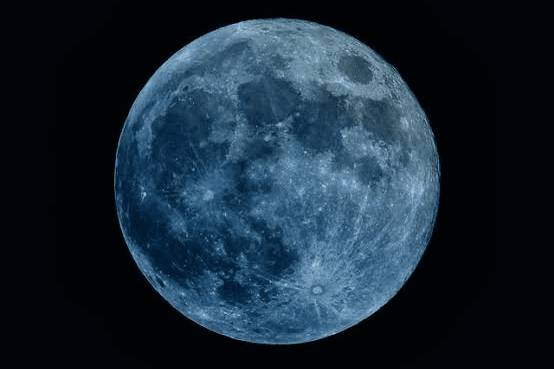 君の手のひらで踊る