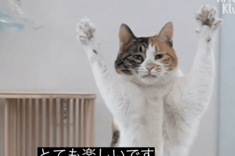 ハートお願いします！