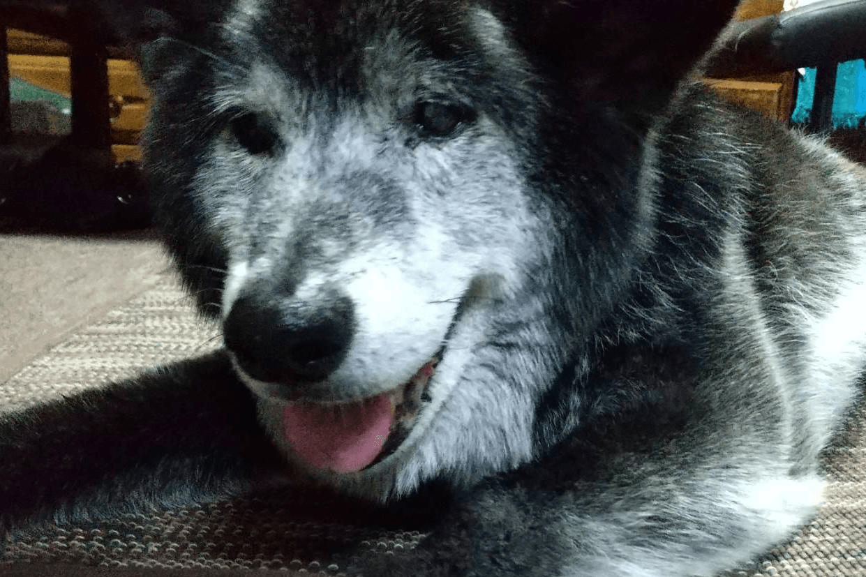 トークンお願いします！