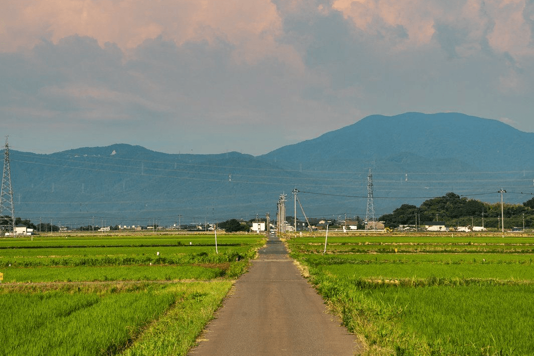 風吹けば、思い出す
