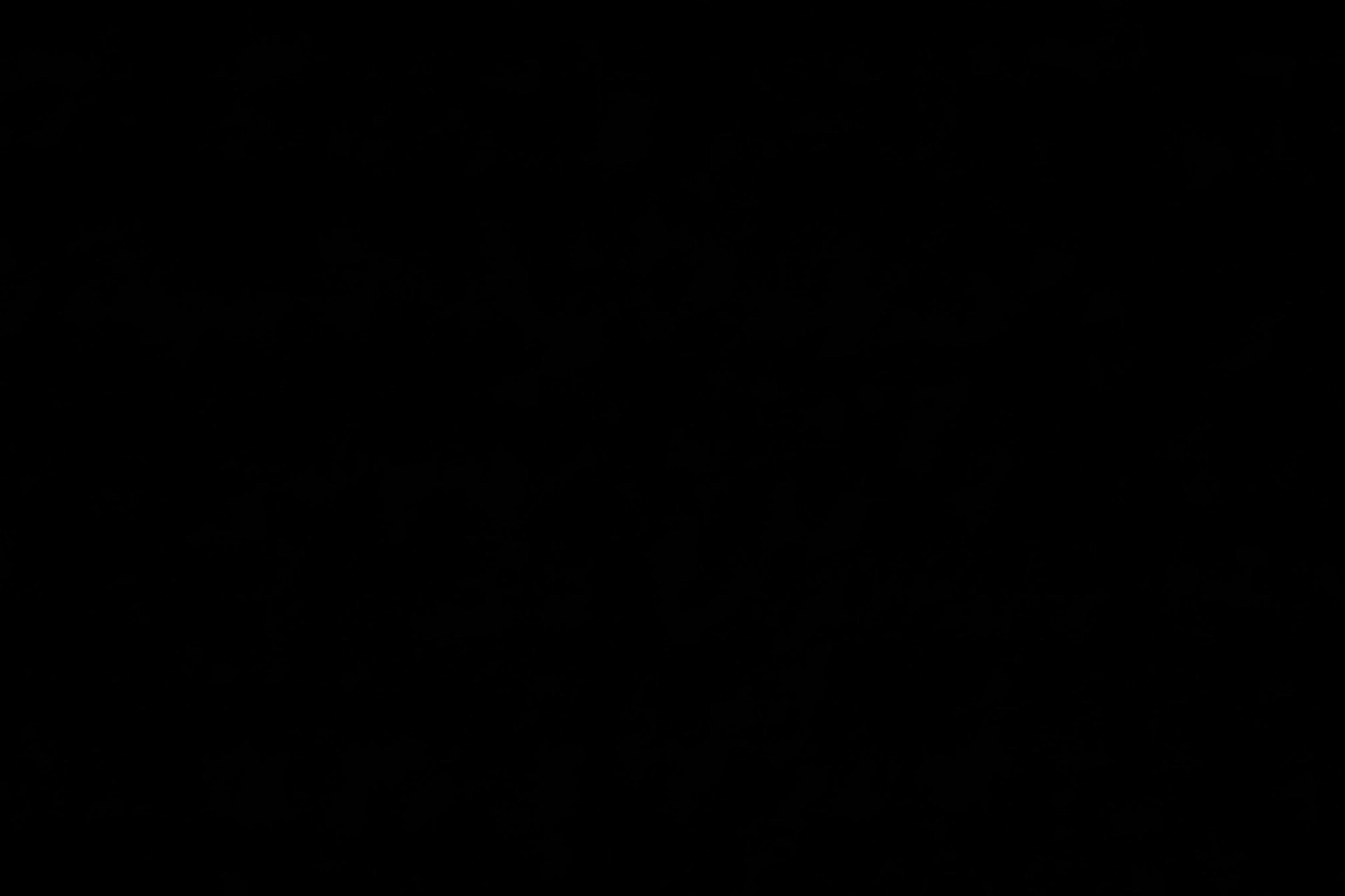 僕