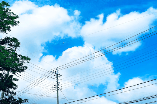 この夏、恋がはじまる。
